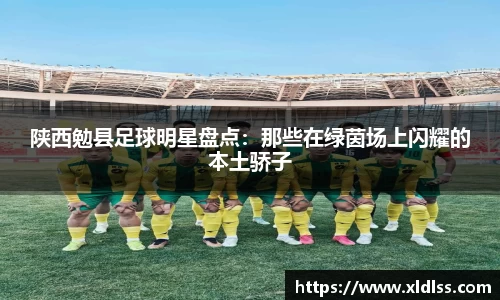 陕西勉县足球明星盘点：那些在绿茵场上闪耀的本土骄子
